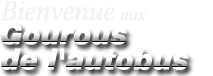 Welcome to BusGurus